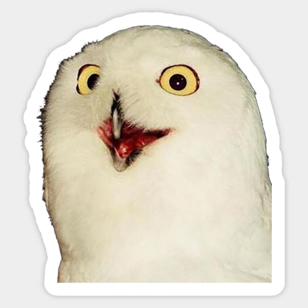 O RLY? Owl Sticker by FlashmanBiscuit